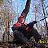 12 pointer