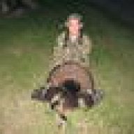 turkeyfan